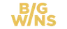 BigWins Casino