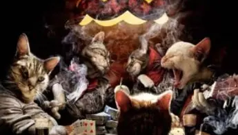 Les animaux jouent cartes sur table!